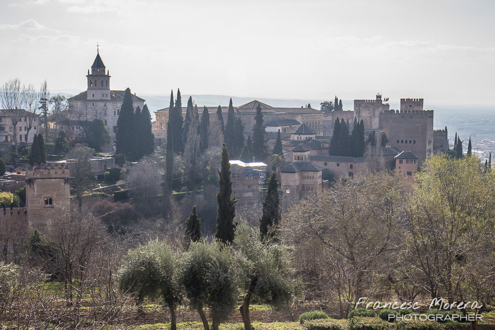 Granada_2014_300